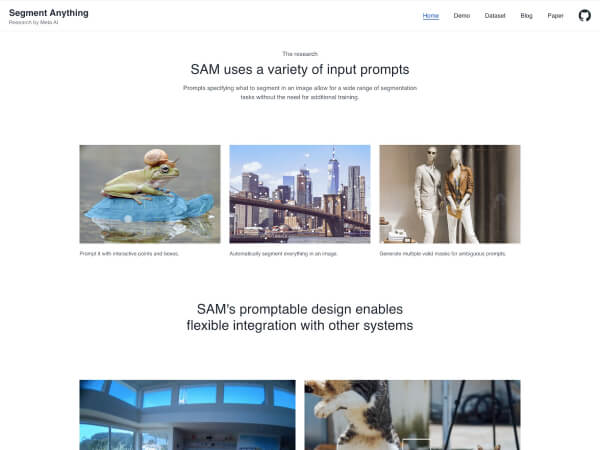 Segment Anything Model (SAM)
