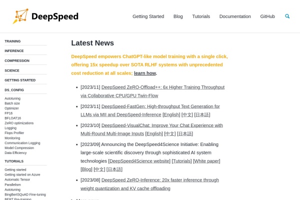 DeepSpeed
